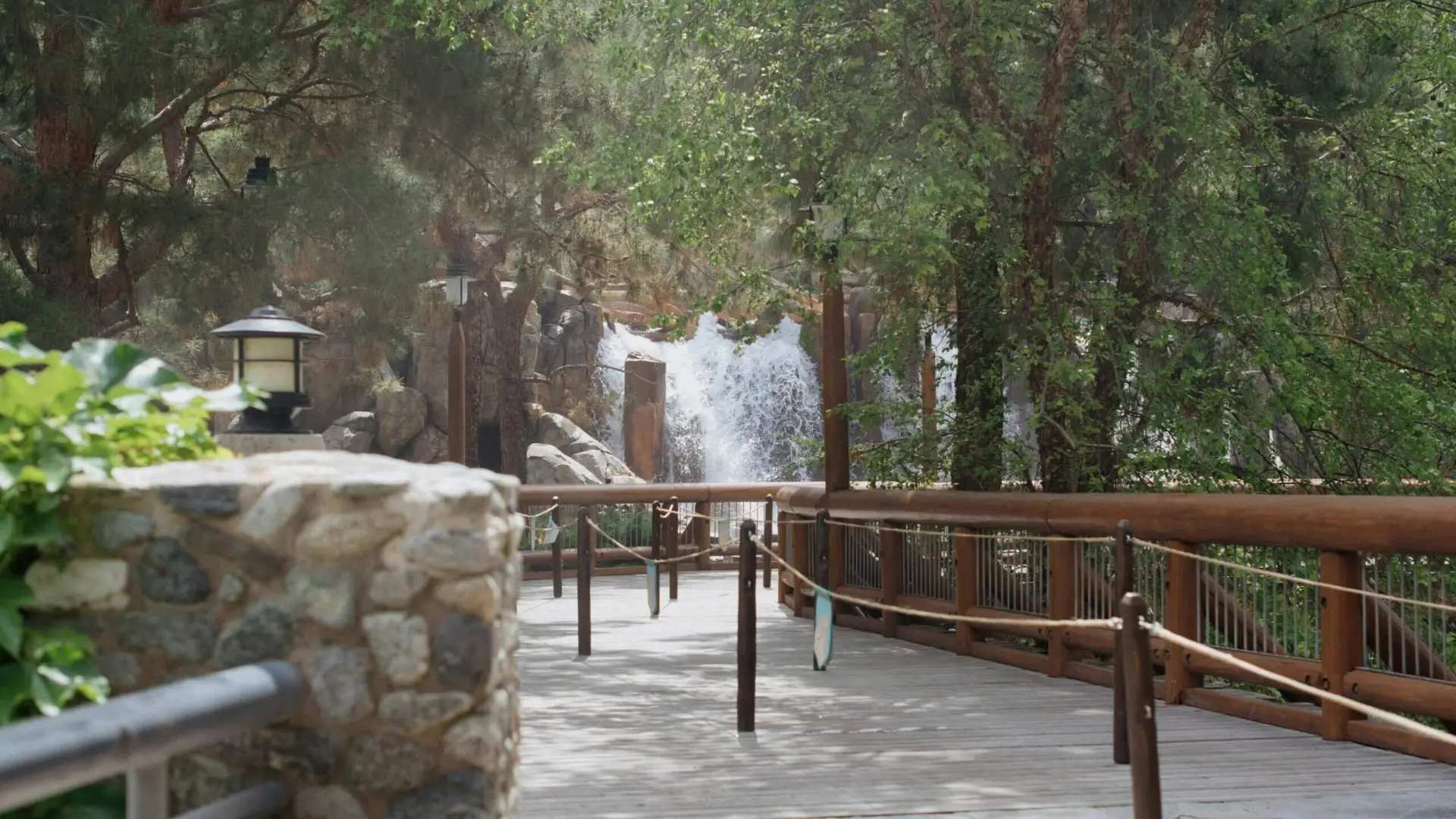 Jeff Barnes Wisdom of Walt Disneyland Lines Most Improved